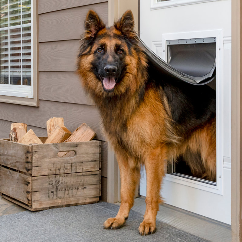 Aluminum doggie door best sale